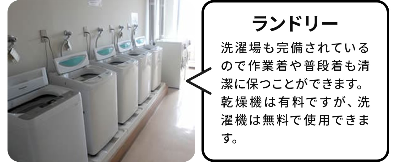 ランドリー:洗濯場も完備されているので、作業着や普段着も清潔に保つことができます。乾燥機は有料ですが、洗濯機は無料で使用できます。